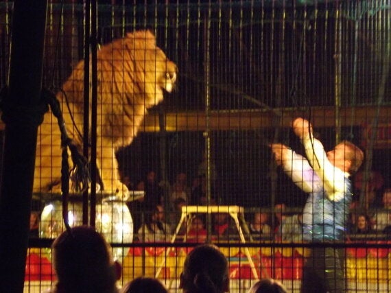 Edinburgh Fringe Gets Circus Hub But I'd Rather See Some Lions ...