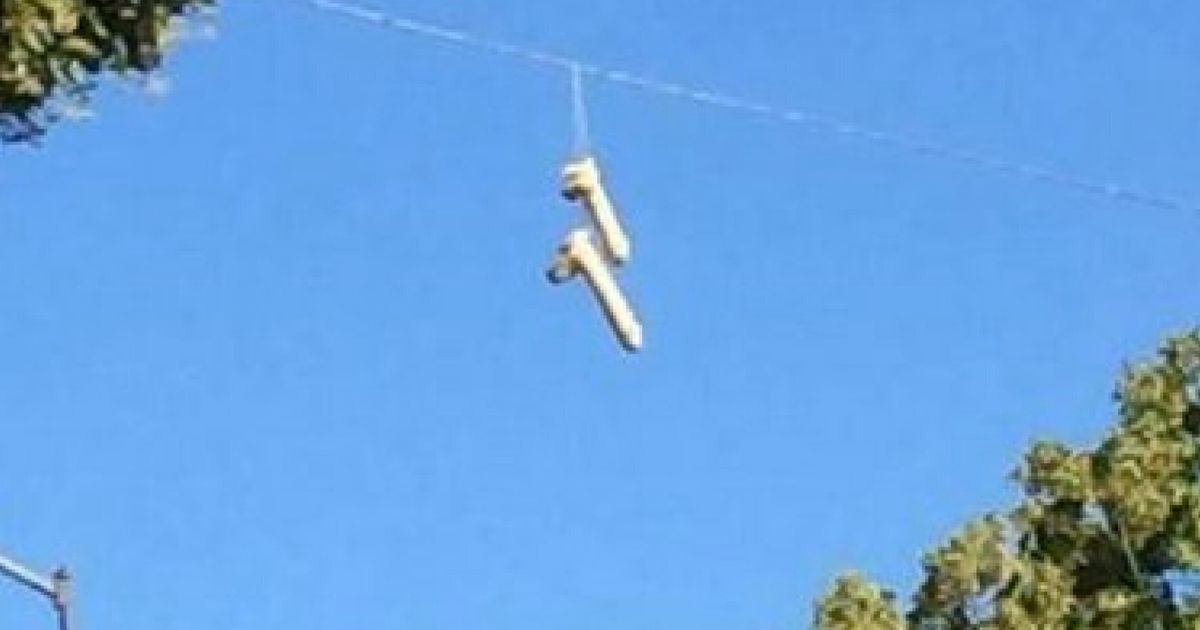 Sex Toys Are Dangling From Portland Power Lines And No One Knows Why 5667