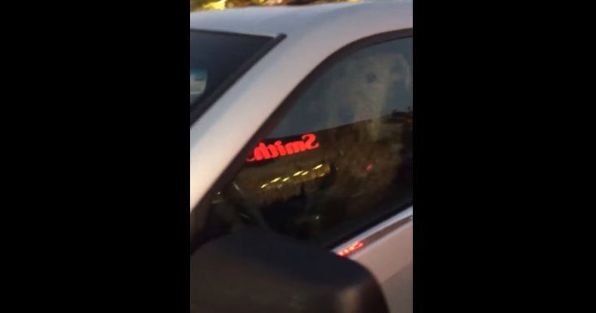 This Dog Is Tired Of Waiting For Its Owners, Sounds Car Horn To Let