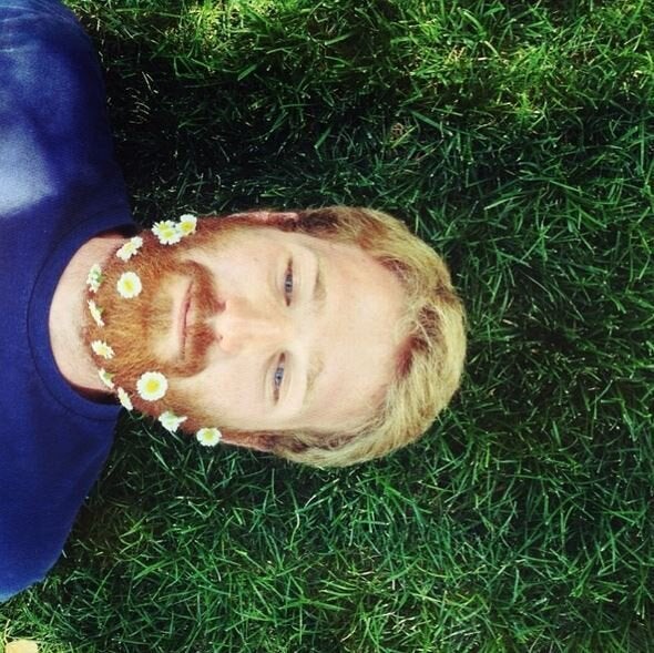 Flowers in beards