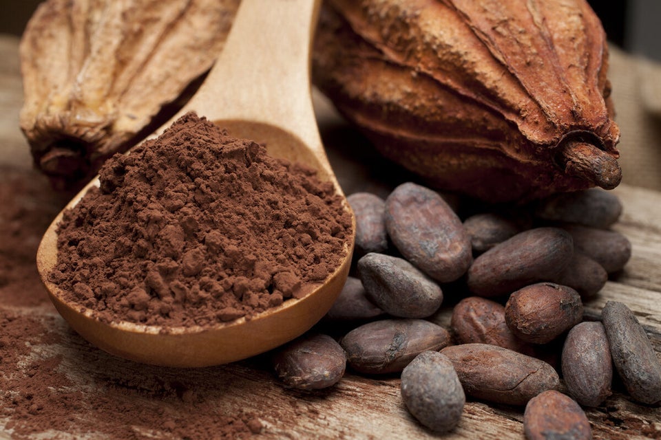 Cocoa Flavanols