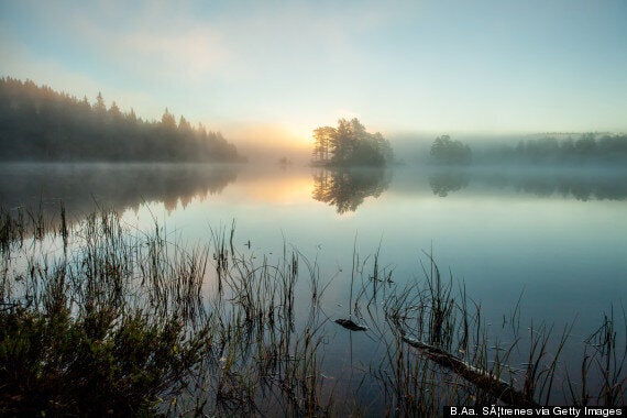 A Hidden Virus In Lakes Is Affecting Our Brains | HuffPost UK Tech