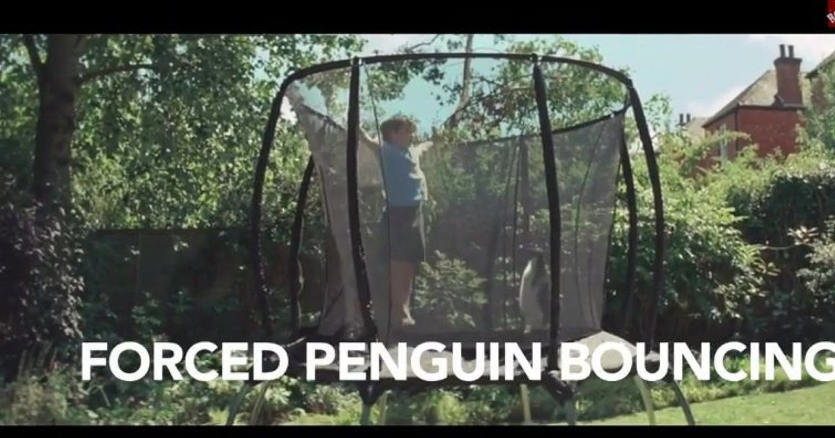 'Stupid Penguins' The John Lewis Christmas Advert Gets Its First