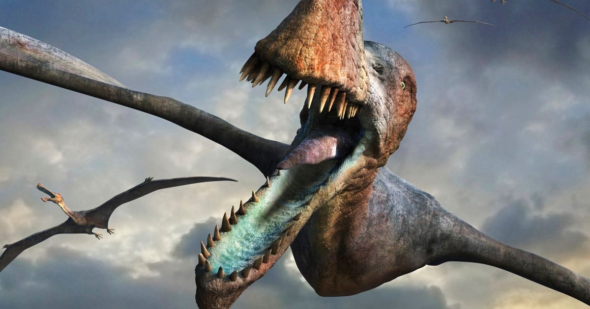 flying-pterosaurs-were-as-big-as-it-gets-study-finds-huffpost-uk-tech