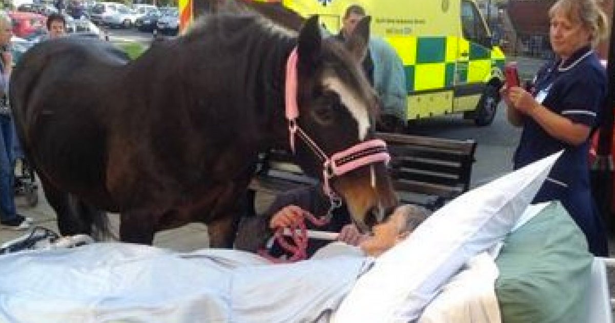 Cancer Patient Dies After Being Granted Final Wish To See Her Favourite