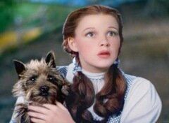 Toto, The Wizard of Oz (1939)