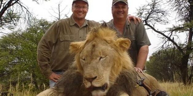 Cecil the lion, pictured dead with his killer Walter Palmer (left)