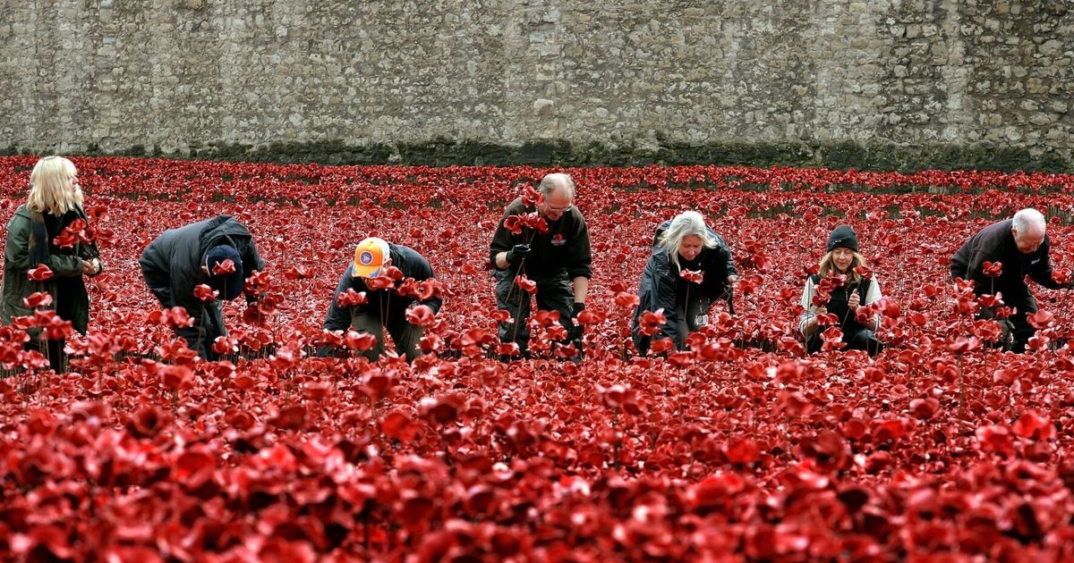 Armistice Day Volunteers Take Down Massive Poppy Display At Tower Of