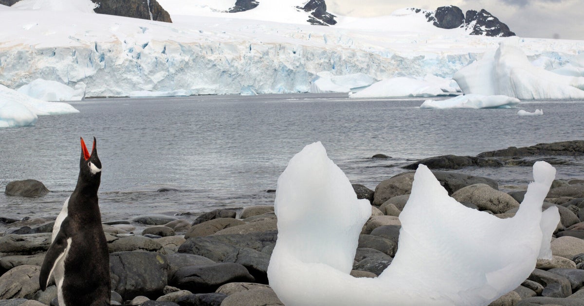Glaciers Melting At Fastest Rate Since RecordKeeping Began HuffPost