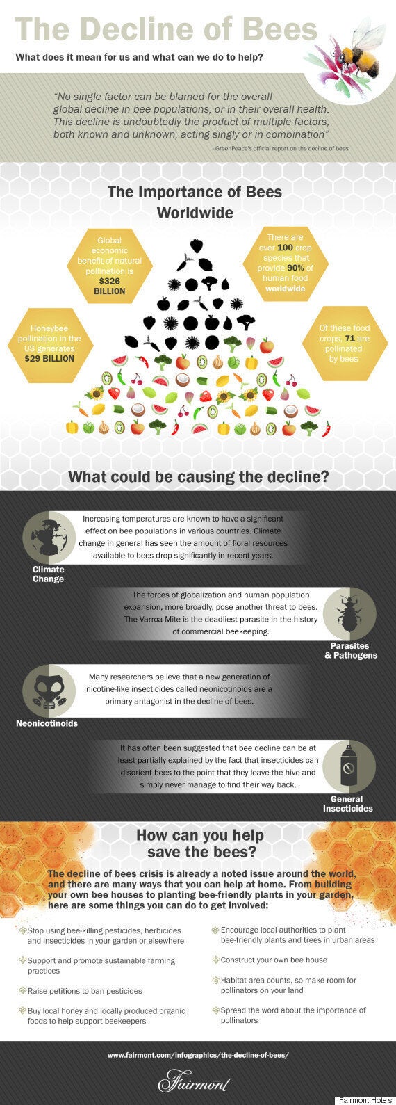 Everything You Need To Know About The Decline Of Bees In One