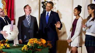 funny news pictures funny news pictures