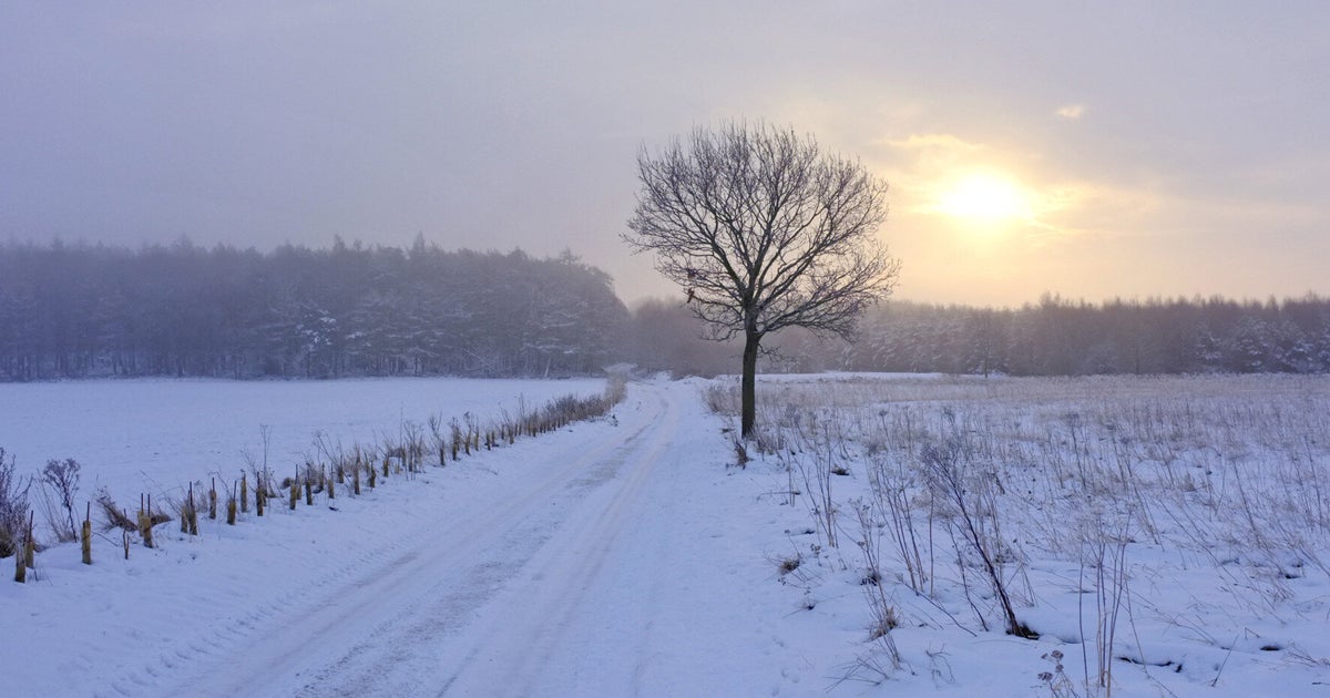 White Christmas Could Still Happen, Despite 'Warmest Year On Record