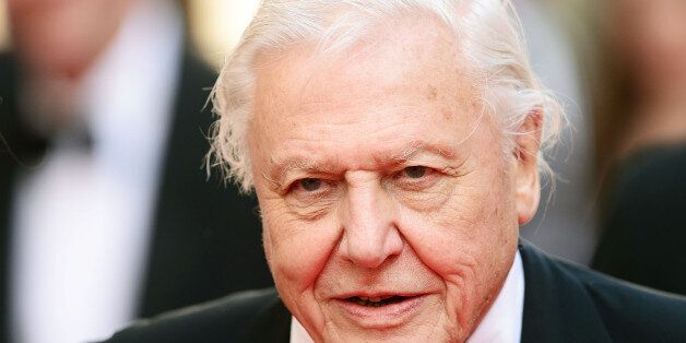 LONDON, ENGLAND - MAY 18: Sir David Attenborough attends the Arqiva British Academy Television Awards at Theatre Royal on May 18, 2014 in London, England. (Photo by Dave J Hogan/Getty Images)
