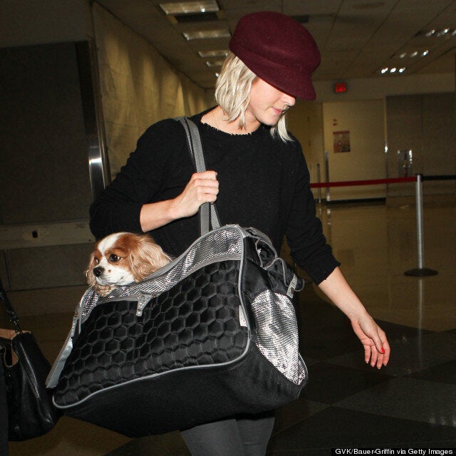paris hilton dog purse