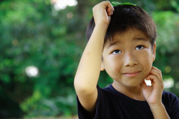 Boy holding a leaf over his head