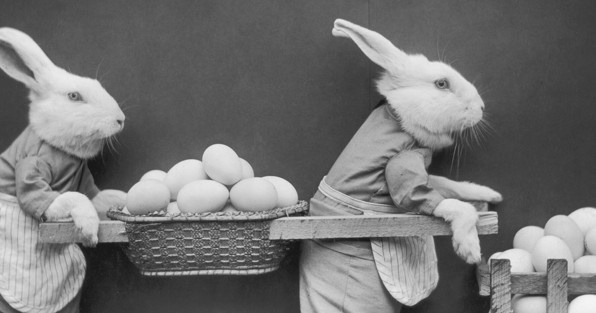 When Is Easter 16 And What Date Are The Holidays Huffpost Uk