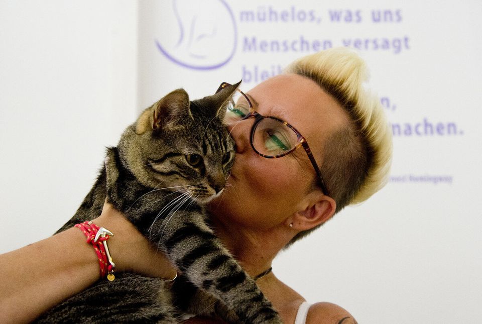Cuddle A Kitty At Battersea Dogs And Cats Home