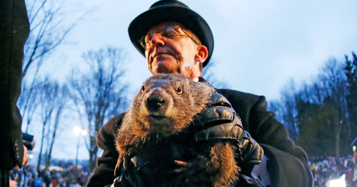 Groundhog Day�s Punxsutawney Phil Predicts 6 More Weeks Of