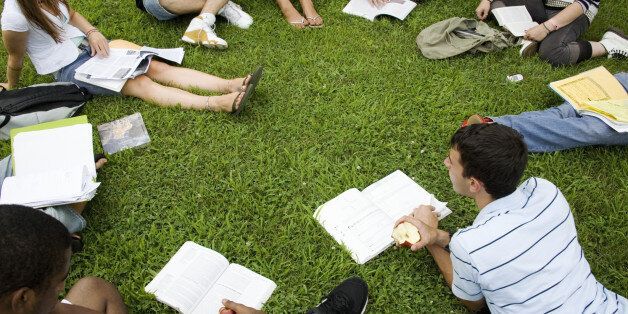 Group of friends (16-19) studying outdoors, elevated view