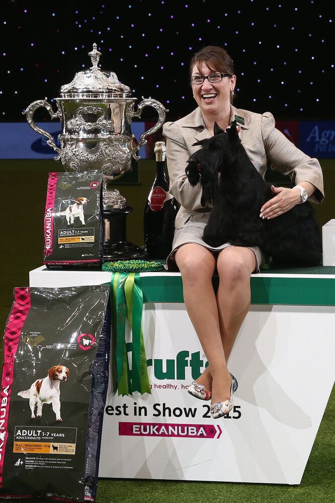 Fourth And Final Day Of Crufts 2015