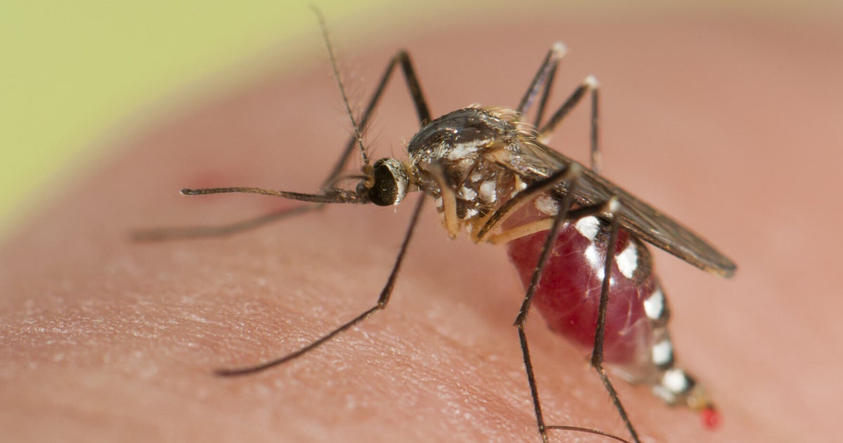 Wnep confirmed area our mosquitoes virus deadly spread