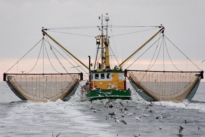 Sea Fishing 