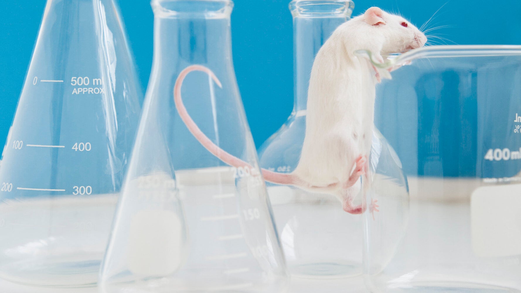 Lab Mice Are Afraid Of Men, Not Women, And That Might Have Ruined Years