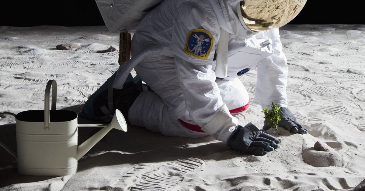 nasa-to-grow-plants-on-the-moon-by-2015-with-the-help-of-some-kids