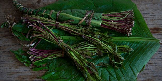 Khat 'should not be banned'