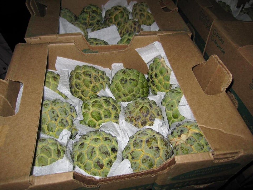 Cherimoya