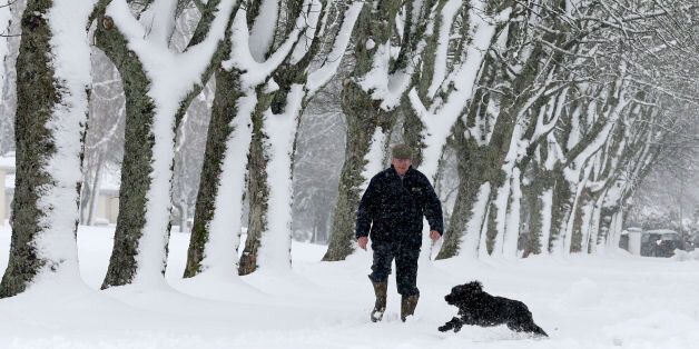 A man walks his dog near Auchterarder, Perthshire after heavy snowfall overnight.
