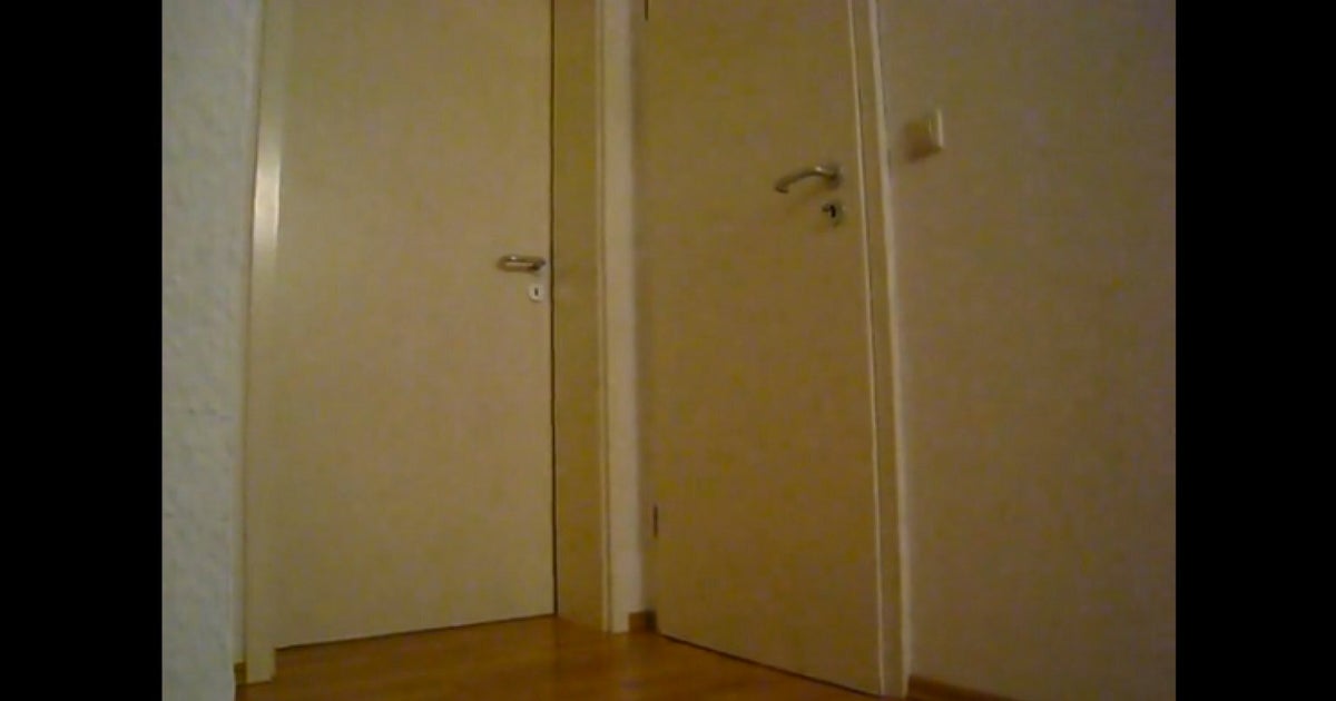 Video Of Giant Snake Opening A Door Goes Viral, Gives Us All Nightmares (VIDEO) HuffPost UK Comedy