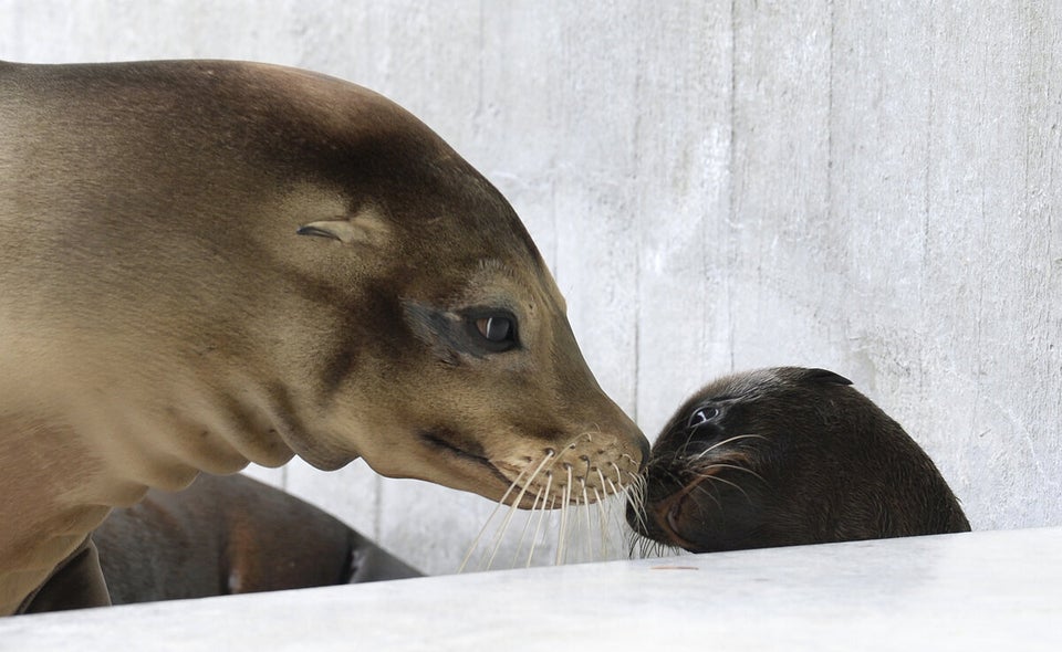 The Week In Photos - Vote On Your Favourite Pictures