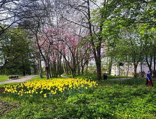 Spring means you finally have something beautiful to Instagram at university.