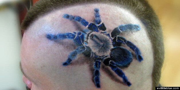 Image of blue tarantula tattoo from evillittleblue.com