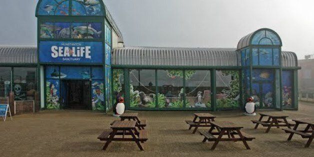 Hunstanton Sea Life Sanctuary in Norfolk