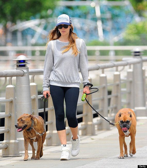 Jessica Biel Accused Of Animal Cruelty After Use Of Shock Collar ...