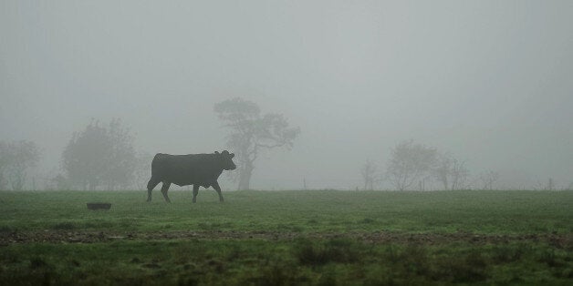 Fog hits the South East