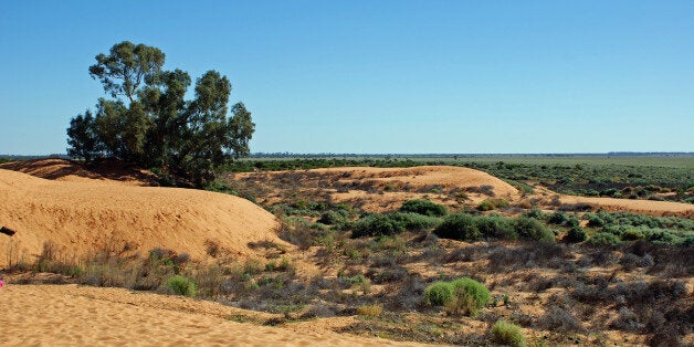 perry sandhills in new south...