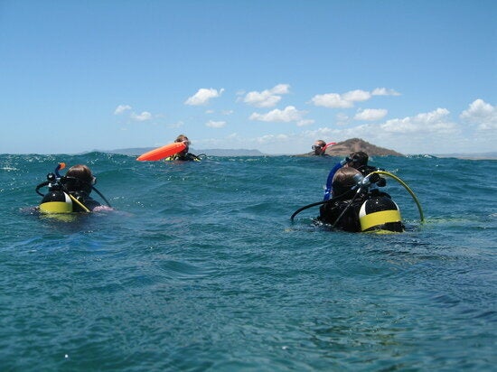 Volunteer Stories: Madagascar Maine Conservation & Diving | HuffPost UK