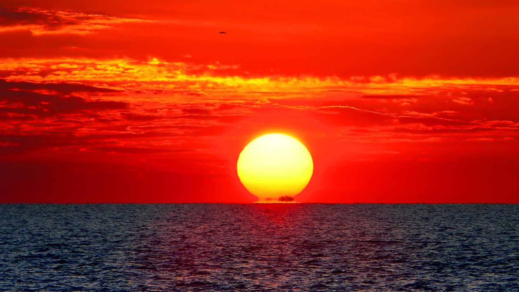 The Sun Will Boil Earth's Oceans In A Billion Years, Not 150 Million ...