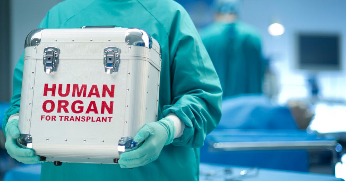 Presumed Consent Organ Donation The Government Has Just Nationalised Your Body Huffpost Uk 