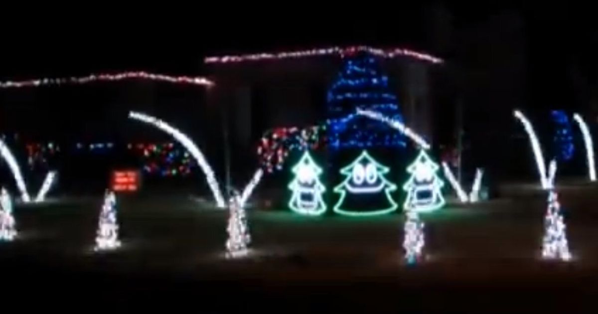 What Does The Fox Say Christmas Lights Show Video Huffpost Uk