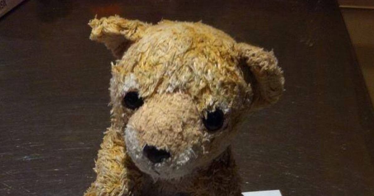 Lost Teddy Bear Reunited With Little Girl After Fantastic Twitter ...