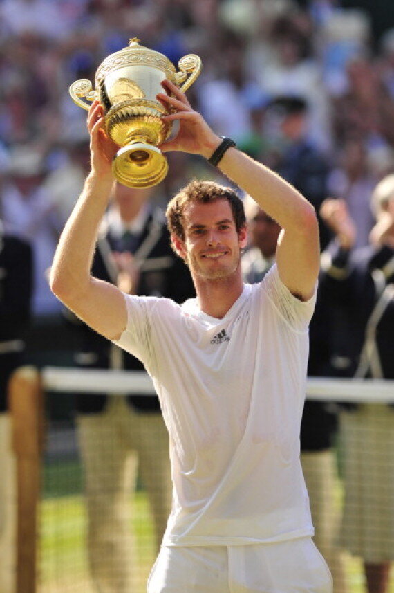 Andy Murray Beats Novak Djokovic To Win Wimbledon Title (PICTURES ...