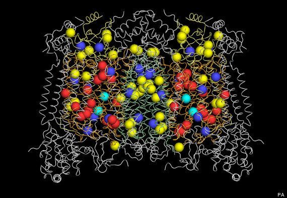 Human Body Contains Tiny Batteries 3d Map Reveals And They Could Lead