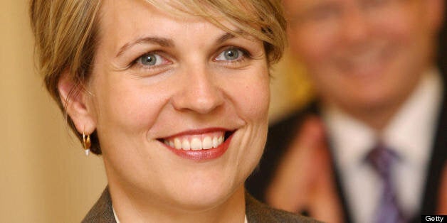 Australian health minister Tanya Plibersek has attacked the role of Lynton Crosby in British politics