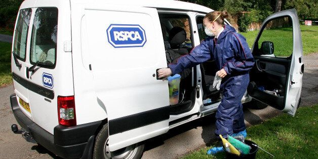 An RSPCA Officer prepares her van to enter Hunts Hill Farm in Normandy, Surrey, during the Foot and Mouth outbreak in the area.