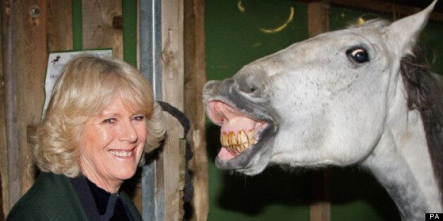 25 Funny Pictures Of Camilla, Duchess Of Cornwall | HuffPost UK Comedy