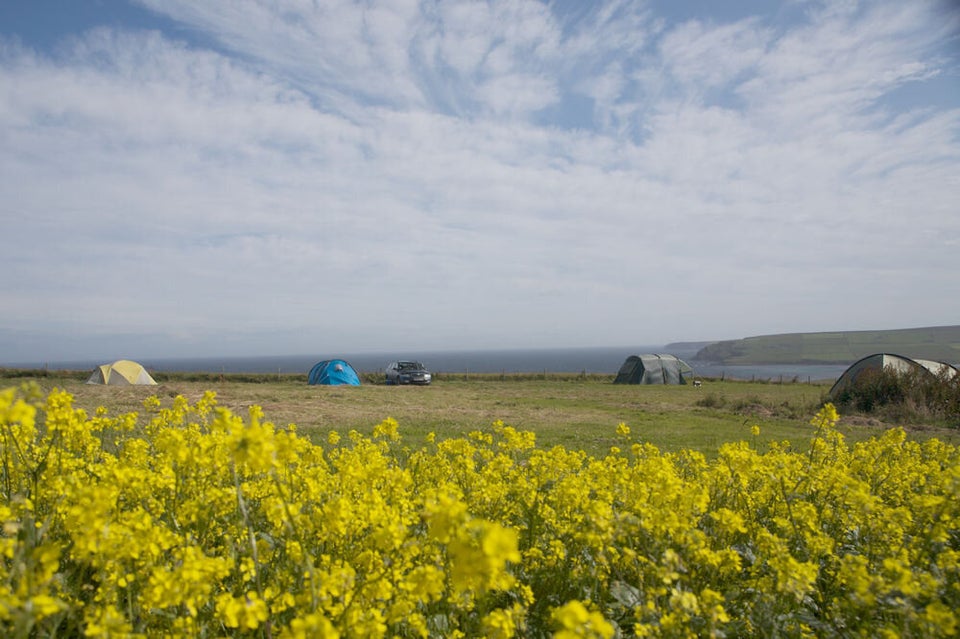 Wheems Organic Farm, Scotland